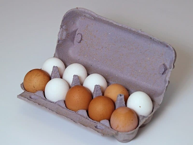 Free Range Eggs (12)