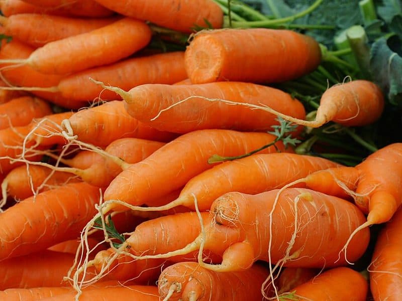 Organic Carrots 1kg
