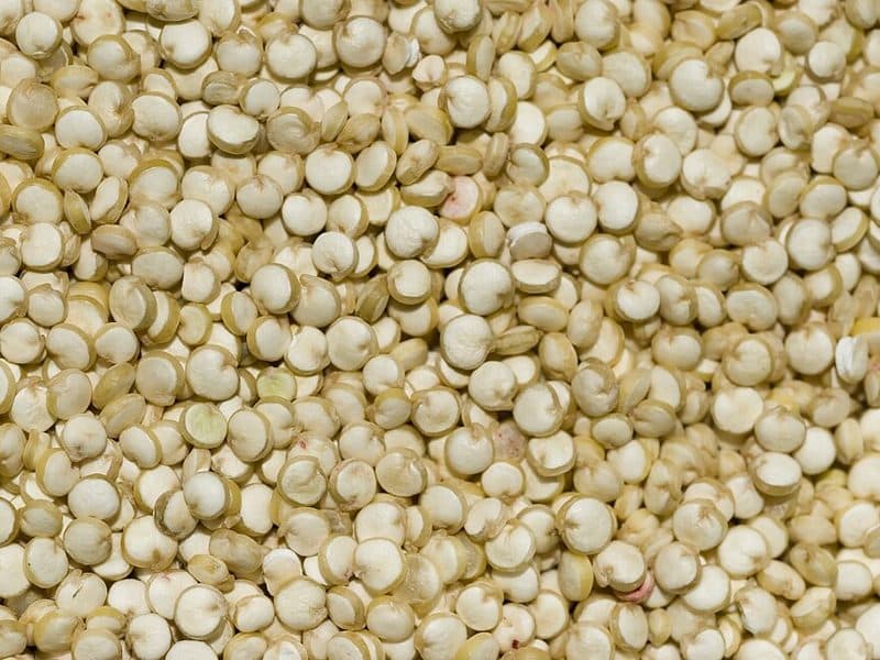 White Quinoa 500g
